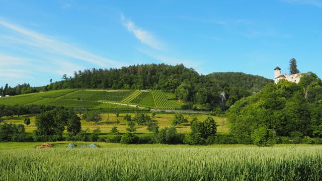 Herzlich Willkommen auf dem Hofgut Birseck